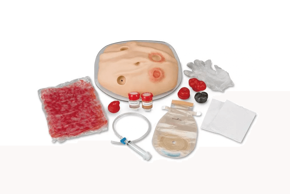 Kompletter Stoma - Simulator - Erler - Zimmer